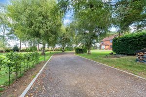 Photo 67- click for photo gallery